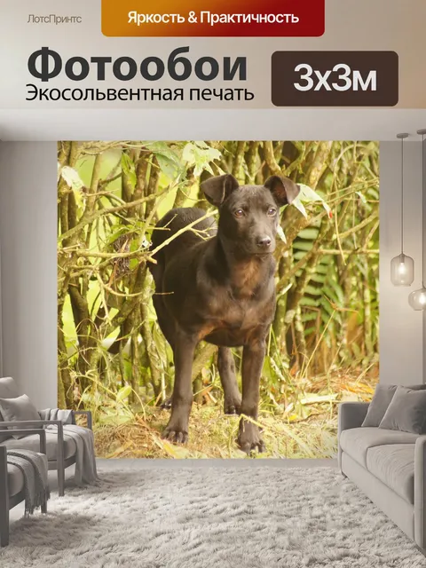 Фотообои Пейзаж