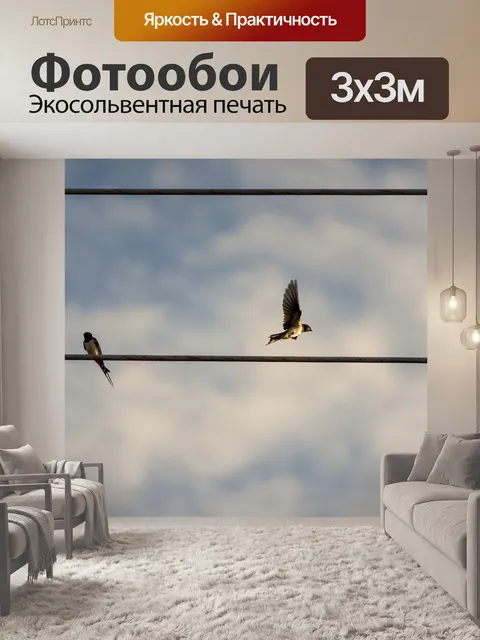 Фотообои Птицы