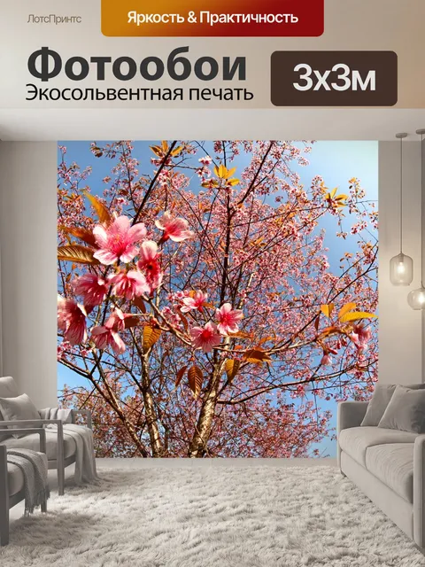 Фотообои Prunus cerasoides, дикая гималайская виш