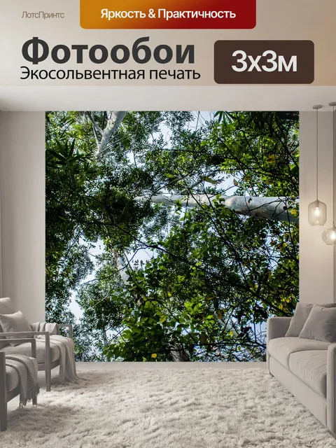Фотообои Лес