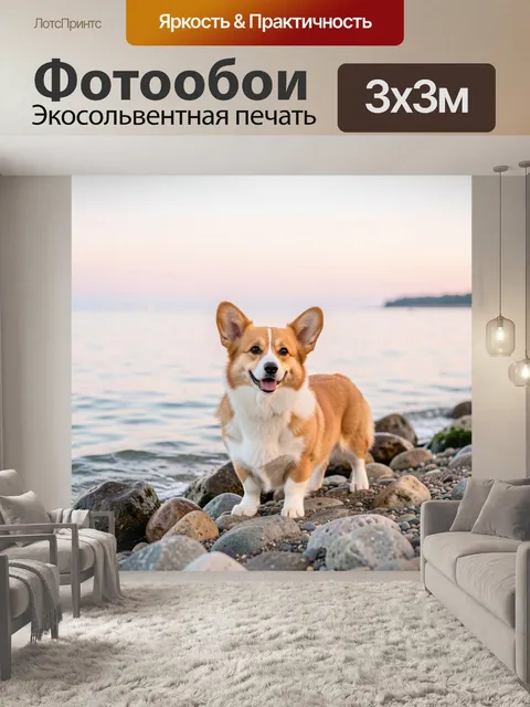 Фотообои Корги на галечном морском берегу