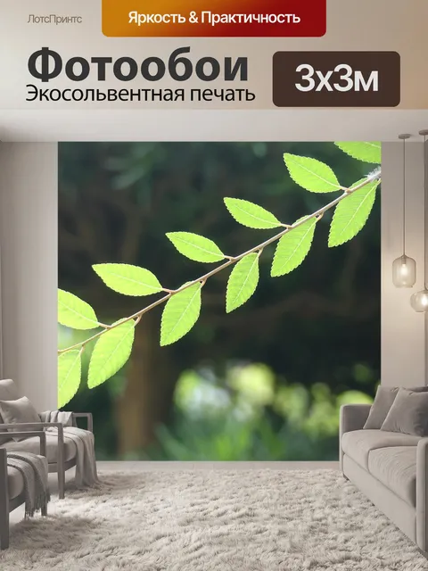 Фотообои Листья