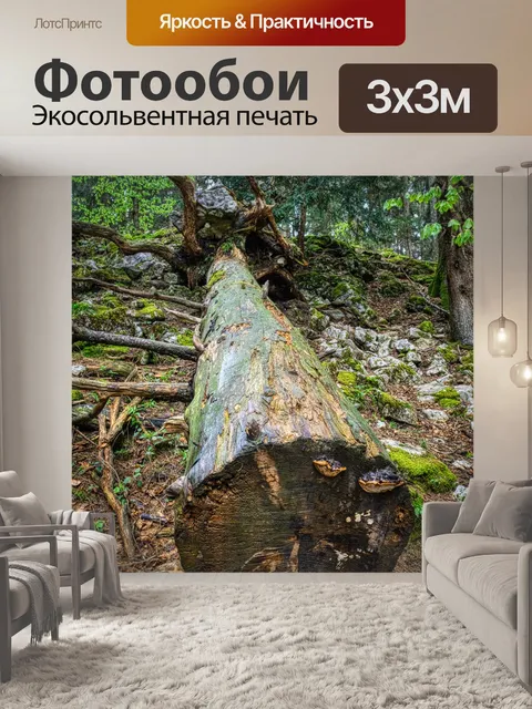 Фотообои Лес