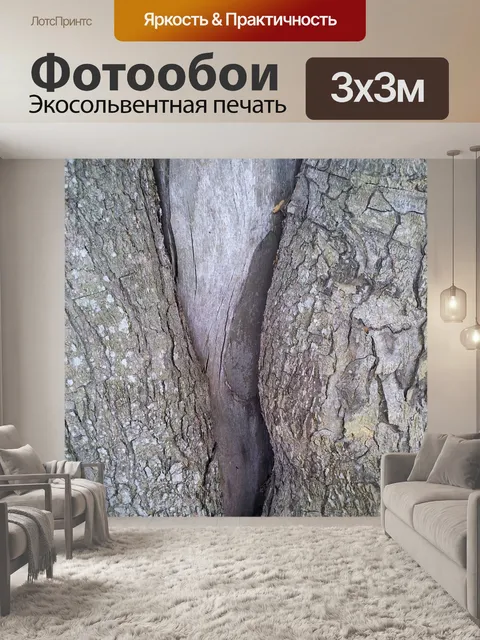 Фотообои В форму на коре дерева