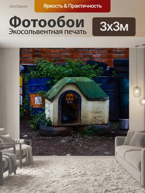 Фотообои Дом собаки