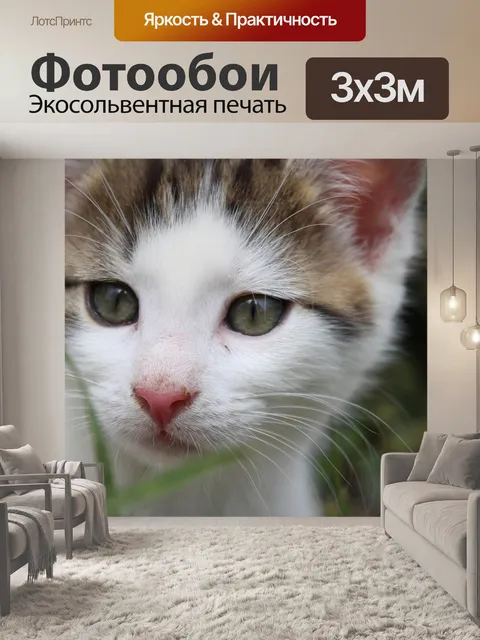 Фотообои Очаровательны