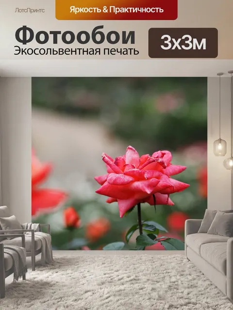Фотообои Роза