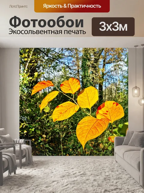 Фотообои Листья