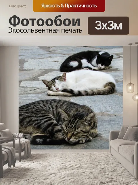 Фотообои Кошки