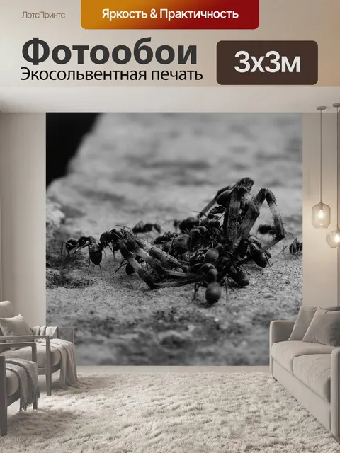 Фотообои Насекомые