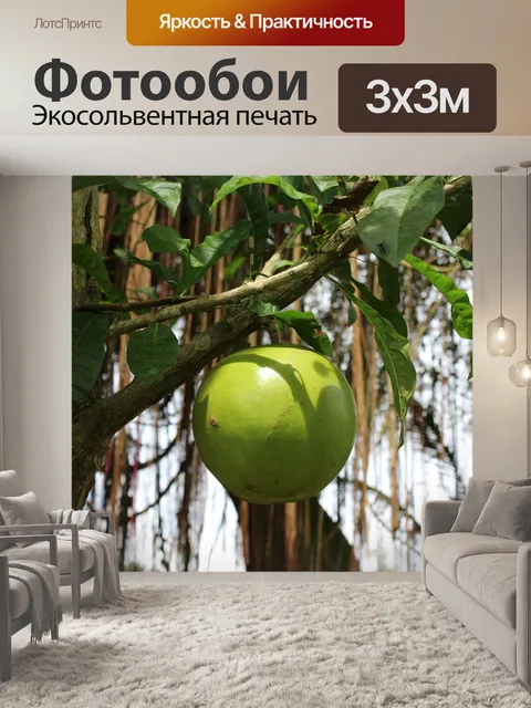 Фотообои Фрукты