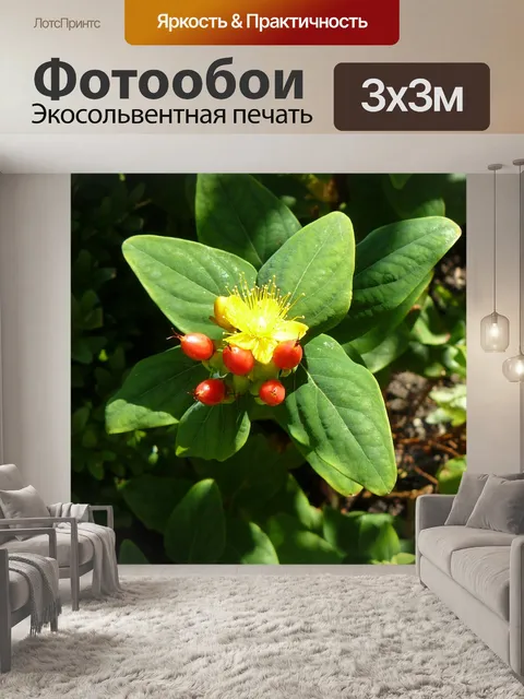 Фотообои Природа