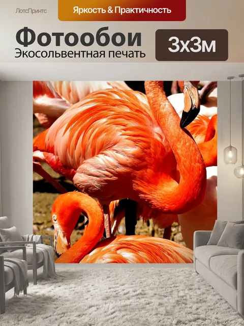 Фотообои Фламинго