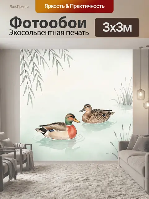Фотообои Утки в тихом пруду