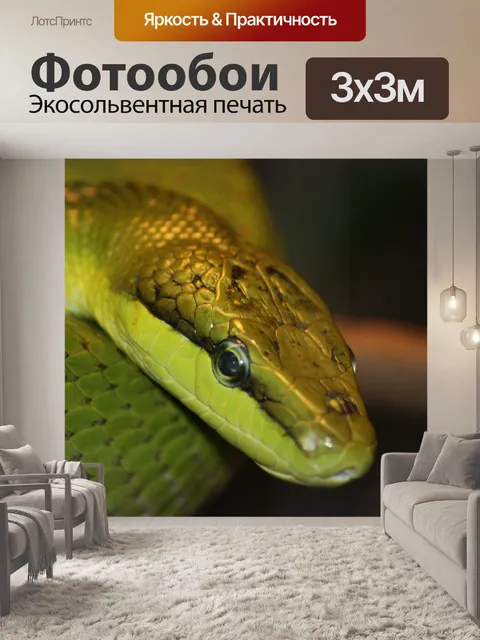 Фотообои Природа
