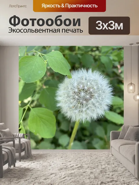 Фотообои Одуванчик