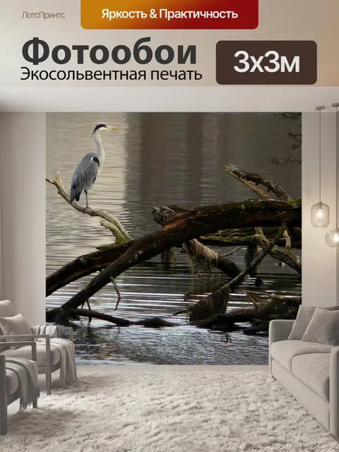 Фотообои Цапля