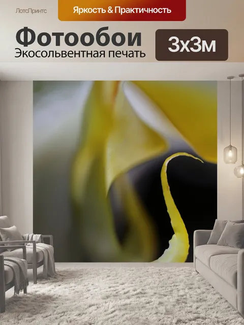 Фотообои Цветы