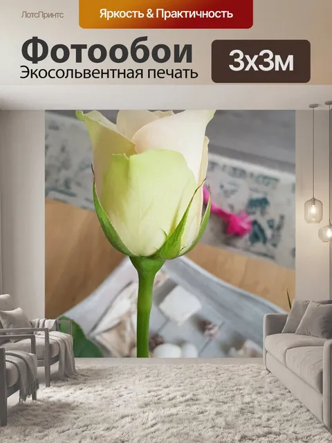Фотообои Роза мягкая розовая