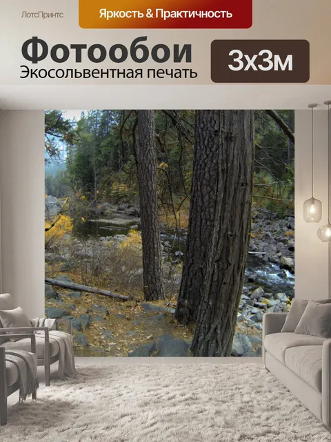 Фотообои Yosemite поток # 2