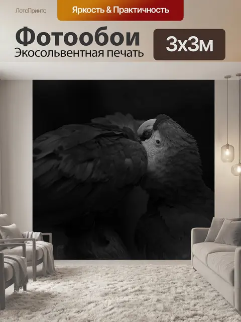 Фотообои Ара