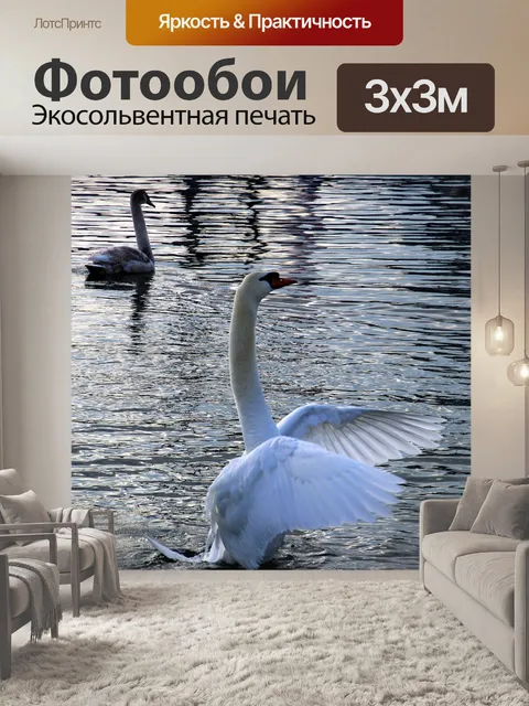 Фотообои Птицы
