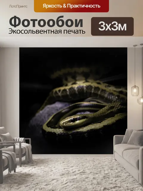 Фотообои Лес