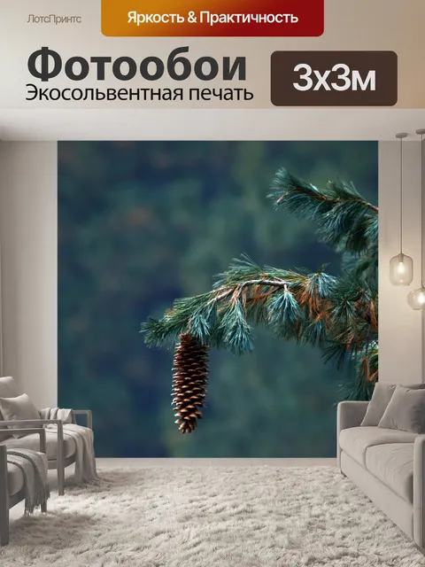 Фотообои шишка