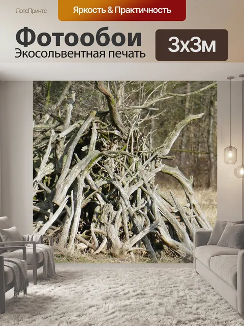 Фотообои Лес