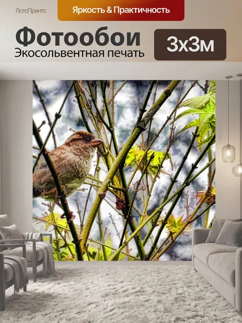 Фотообои Птица в ветках Буша