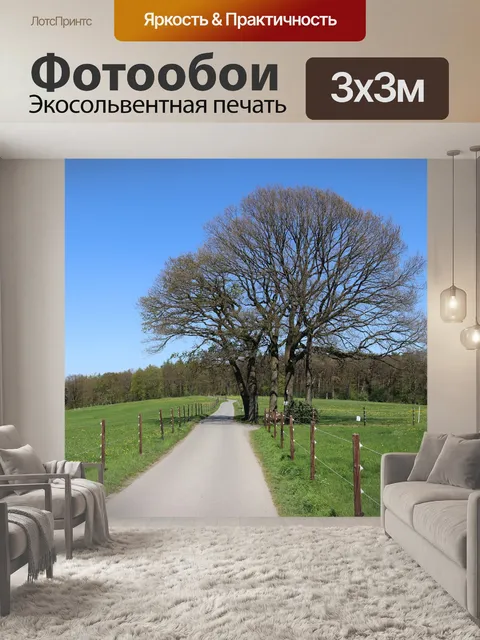 Фотообои Дорожка