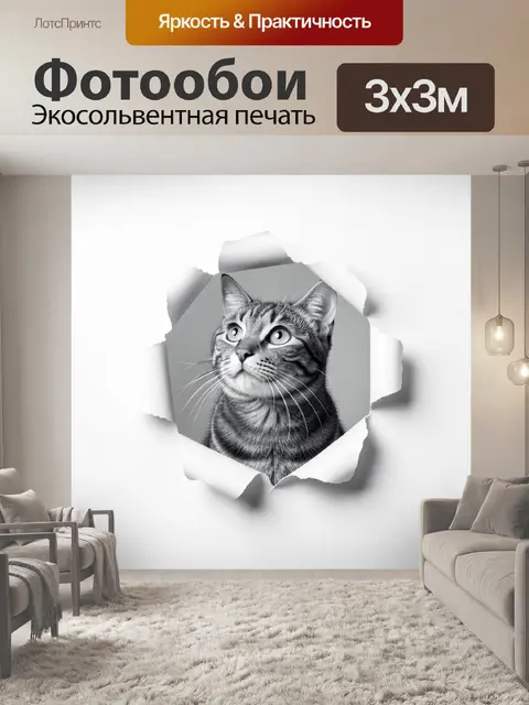 Фотообои Табби-кот сквозь рваную бумагу