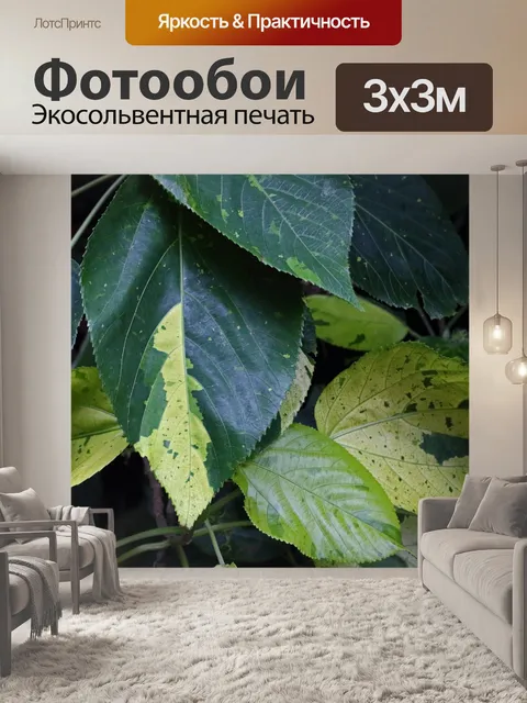 Фотообои зеленые пестрые листья на растении
