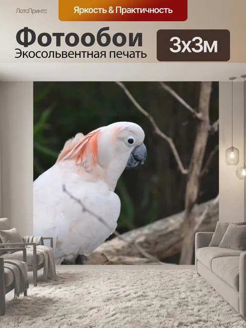 Фотообои Птица