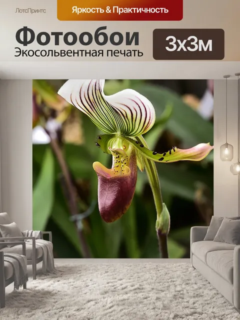 Фотообои Цветок