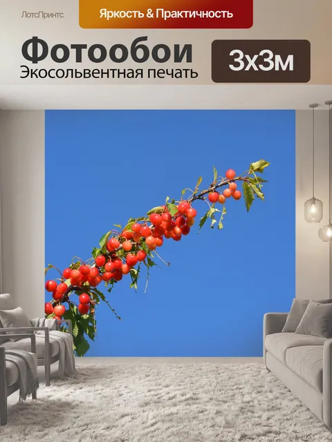 Фотообои Вишня