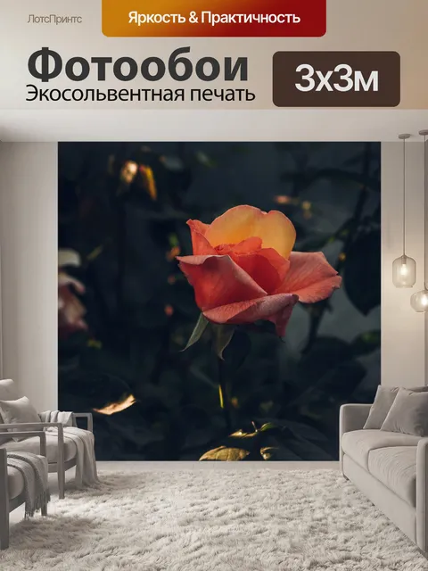 Фотообои Цветок