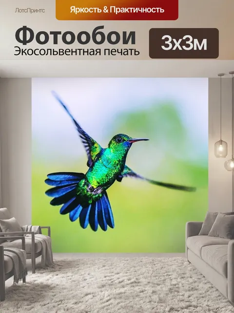 Фотообои Колибри