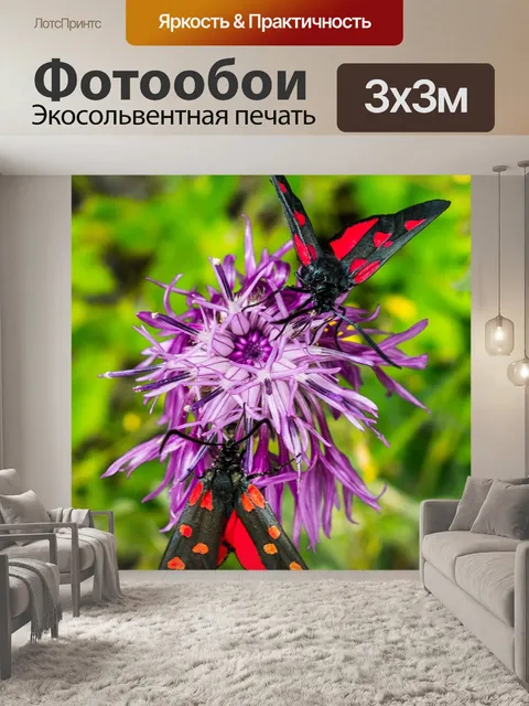 Фотообои Бабочка