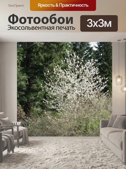 Фотообои Исследование в зеленой III