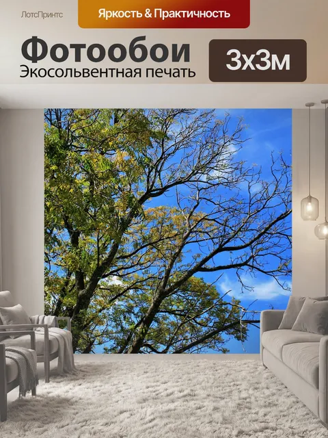 Фотообои Дерево