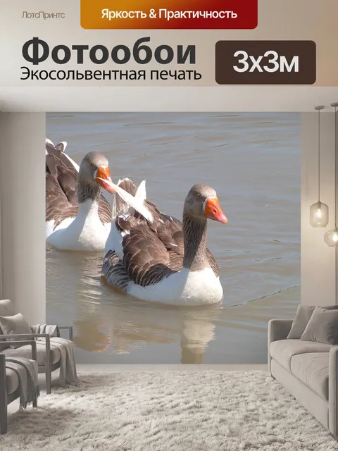 Фотообои Гуси