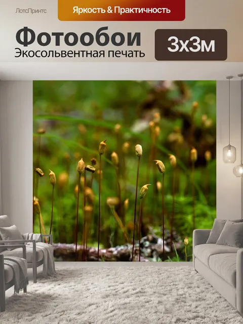 Фотообои Рост