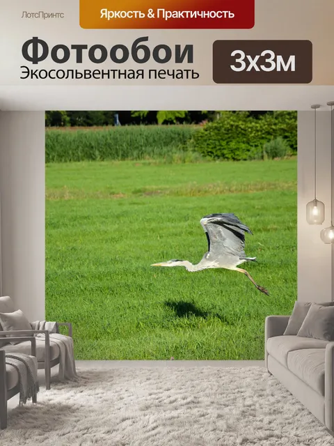 Фотообои Цапля