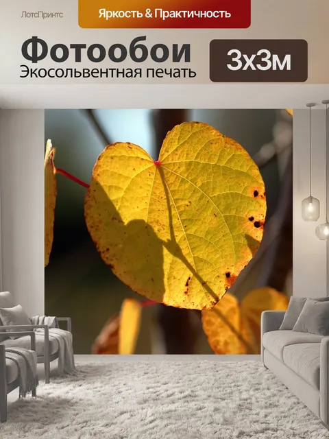 Фотообои Листья