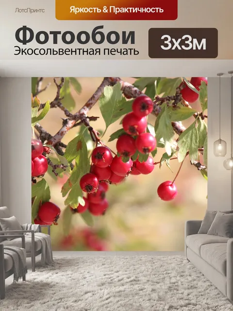 Фотообои Боярышник