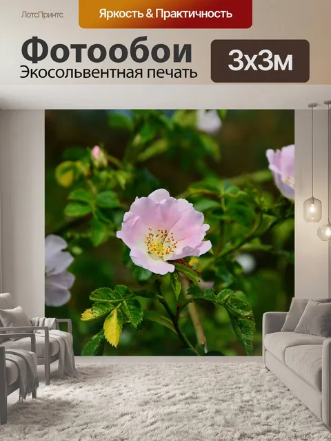 Фотообои Собачьи розы
