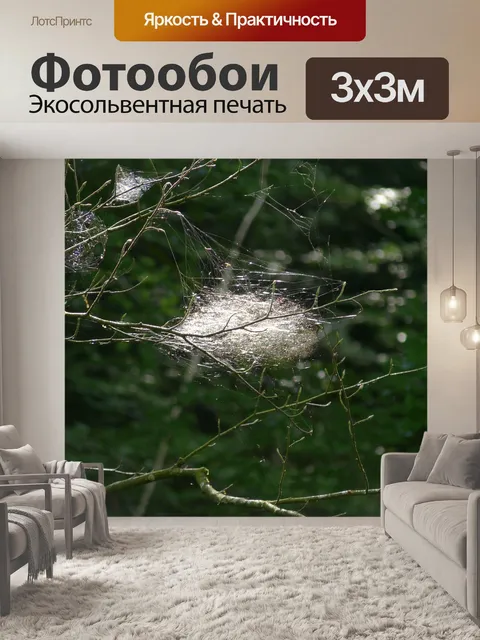 Фотообои Природа