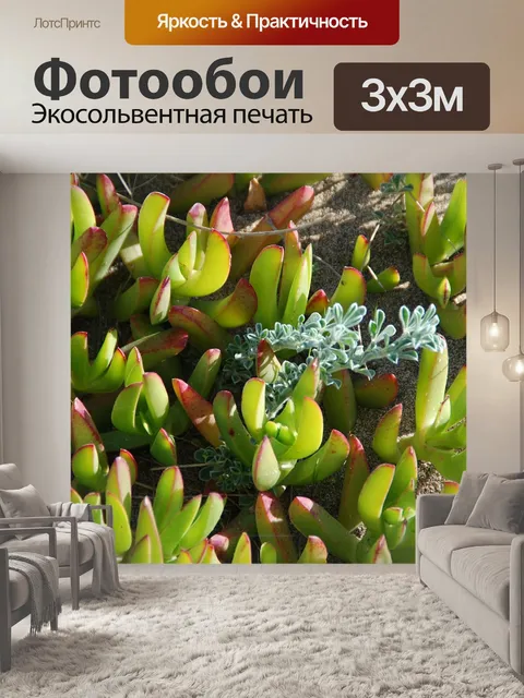 Фотообои Растения