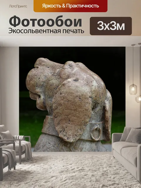 Фотообои Собака